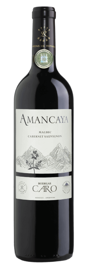 Amancaya 2022